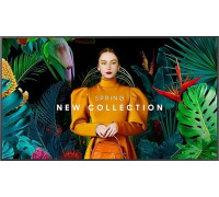 Samsung QH65C (LH65QHCEBGCXEN)