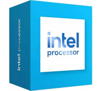 Intel Intel 300, 3.9 GHz, 6 MB, BOX (BX80715300)