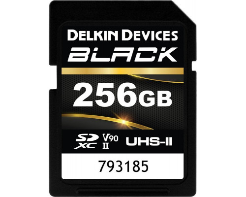 SD  Delkin Black Rugged SDXC 256 GB Class 10 UHS-II V90 (DSDBV90256BX)