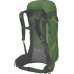 Osprey OSPREY Stratos 36 Seaweed/Matcha Green