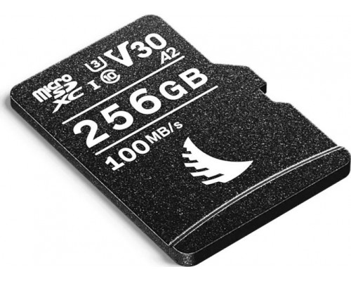 SD  Angelbird AV Pro SDHC 256 GB UHS-I/U3 V30 (AVP256MSDV30)