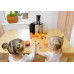Transa Electronics Fresh Juice 1400W