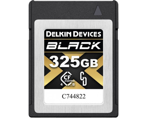 SD  Delkin Black CFexpress 650 GB  (DCFX4B650)