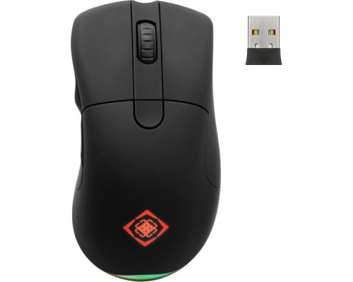 Deltaco DELTACO GAMING belaidė, 16.000 DPI, RGB, USB-C/USB-A, juoda / GAM-107