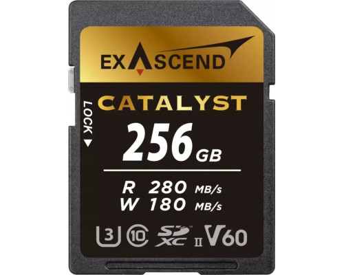 SD  ExAscend SD  pamięci ExAscend Catalyst UHS-II V60 256GB