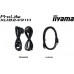 iiyama ProLite XUB2491H-B1