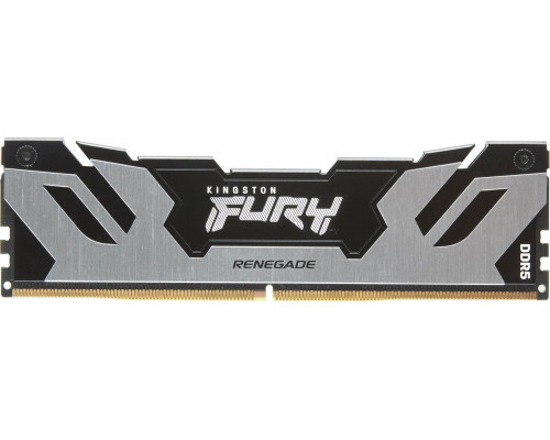 Kingston Fury Renegade, DDR5, 24 GB, 8400MHz, CL40 (KF584CU40RS-24)