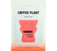 COFFEE PLANT - Etiopia Sidamo Washed Filter 250g