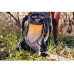 Gregory Maven 48 l Gray