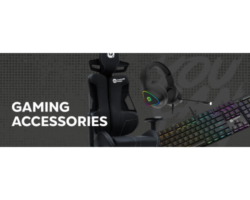 Canyon CANYON Gaming Flow MCH01 Mesh Black - White