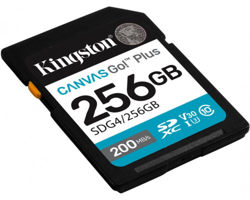 SD  Kingston Canvas Go! Plus (Gen4) SDXC 256 GB Class 10 UHS-I/U3 V30 (SDG4/256GB)