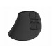 Natec Euphonie Pro Wireless Vertical Mouse
