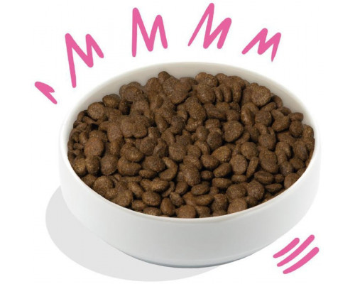 Edgard Cooper - Crunchy Beetroot and Pumpkin 2 5kg - (540700714913) /Dogs
