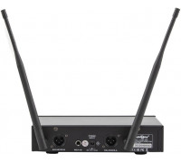 MadBoy U-Tube 20PD wireless karaoke microphone pair