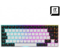 Sharkoon SKILLER SGK50 S3 (wei. IT-Layout. Gateron Yellow)