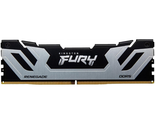 Kingston Fury Renegade, DDR5, 24 GB, 8800MHz, CL42 (KF588CU42RS-24)