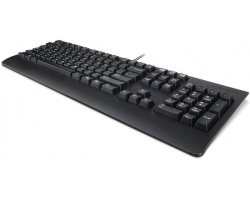 Lenovo Preferred Pro II klawiatura Uniwersalne USB QWERTY Polskie Czarny
