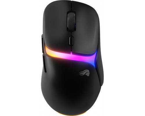 D3 RGB Wireless Czarny