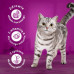 WHISKAS Sucha chicken 14kg
