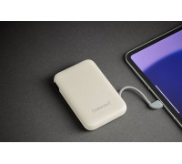 Intenso 7333031 bank mocy