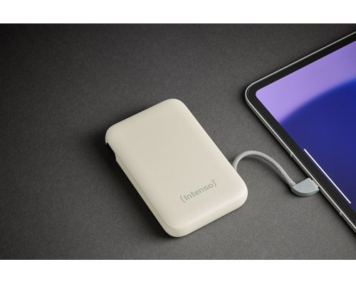 Intenso 7333031 bank mocy