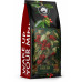 Turtle Coffee 1kg Świeżo Palona RAVENA Limited Edition idealna do ekspresu