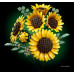 LEGO Botanicals Bukiet słoneczników (11502)