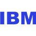 IBM 900GB 2.5'' SAS-2 (6Gb/s)  (00Y2431)