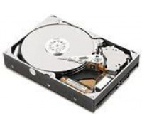 IBM 1TB 2.5" SATA III (81Y9731)