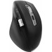 TnB Myszka Bezprzewodowa Bluetooth 2.4ghz Usb-c 1000-3200 Dpi 500mah T"nb / Mwinfinitepro