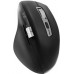 TnB Myszka Bezprzewodowa Bluetooth 2.4ghz Usb-c 1000-3200 Dpi 500mah T"nb / Mwinfinitepro