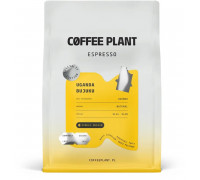 Coffee Plant Uganda Bujuku 250 g