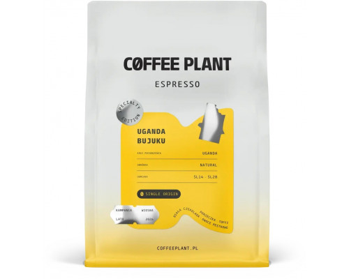 Coffee Plant Uganda Bujuku 250 g