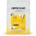 Coffee Plant Uganda Bujuku 250 g