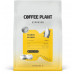 Coffee Plant Uganda Bujuku 250 g
