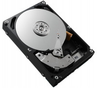 Dell DELL DPTW9 dysk twardy 3 TB 7200 RPM 3.5" SAS