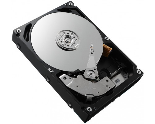 Dell DELL DPTW9 dysk twardy 3 TB 7200 RPM 3.5" SAS