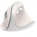 Ugreen Pionowa MU008MINI BT 2.4G (biała) (85249)