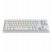 NK68 HE White G3MS Magnetite Ice Switch US (5292910041944)