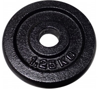 Kubisport Ciężar load cast iron plate do gryfu hantli 1,25kg - 25mm (Kub_05-CW1/25K-25)
