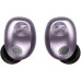 Sennheiser Momentum True  5 Purple