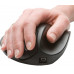 Hippus HandShoe Mouse M (M2WB-LC)