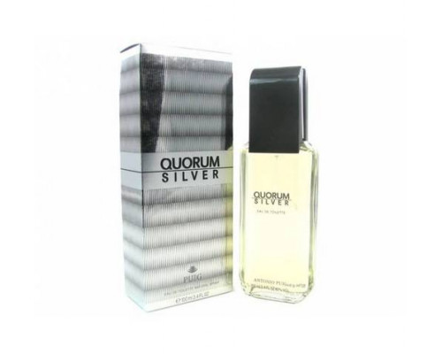 Antonio Puig Quorum Silver EDT 100 ml
