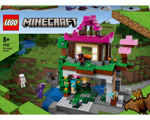 LEGO Minecraft Training Area (21183)