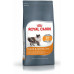 Royal Canin Hair&Skin Care karma sucha dla kotów adults, lśniąca sierść i zdrowa skóra 10 kg