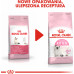 Royal Canin Kitten karma sucha dla kociąt od 4 do 12 miesiąca życia 10 kg