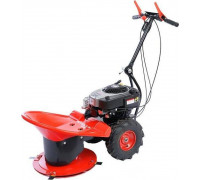 Motor Jikov Stella Pro B&S 875