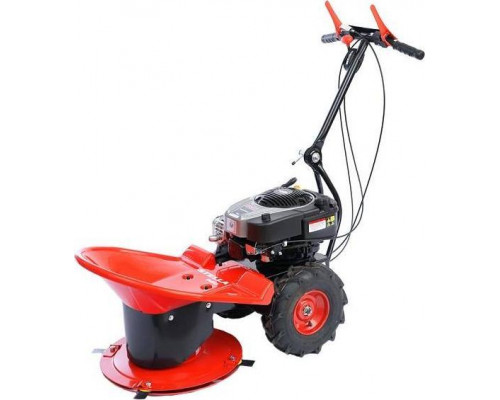 Motor Jikov Stella Pro B&S 875
