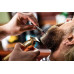 Adler Maszynka Trimmer For Cutting Shaving Beard Hair