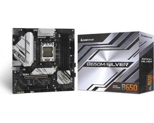 AMD B650 Biostar B650M-SILVER